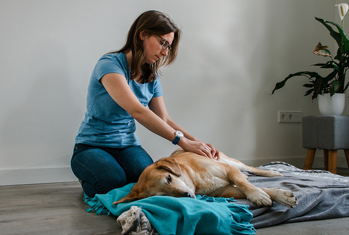 Massage bij vuurwerkangst