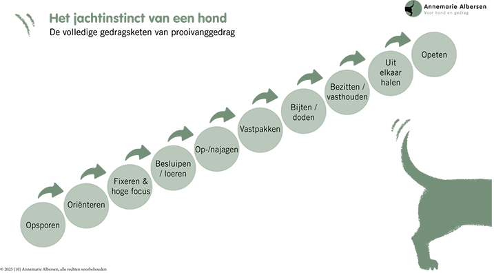 Jachtinstinct gedragsketen