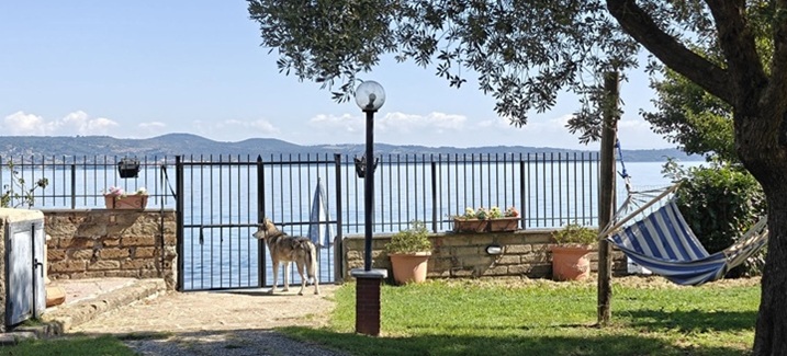 Vakantiehuisje aan het Braccianomeer in Italië