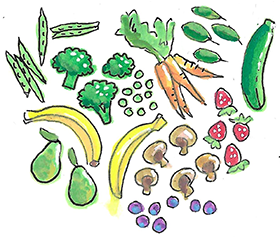 Prebiotica voor honden