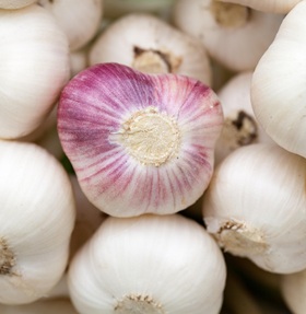 Knoflook