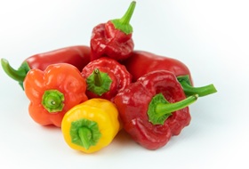 Paprika