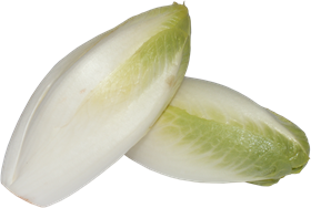 Witlof