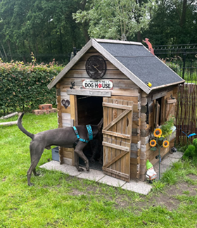 Snuffeltuin