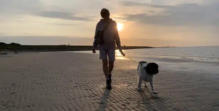 Hond op het strand